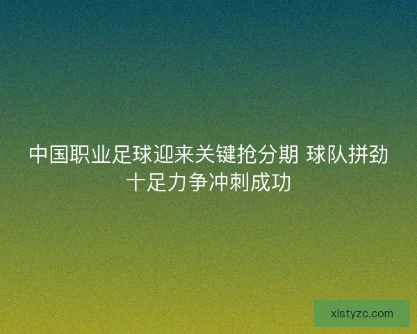 中国职业足球迎来关键抢分期 球队拼劲十足力争冲刺成功