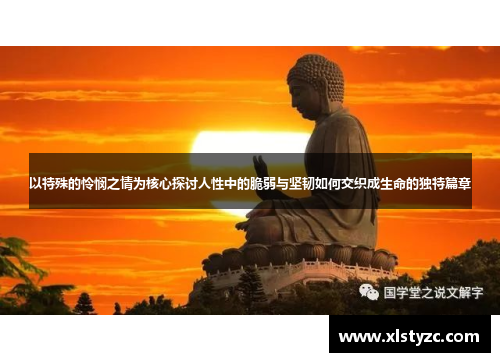 以特殊的怜悯之情为核心探讨人性中的脆弱与坚韧如何交织成生命的独特篇章